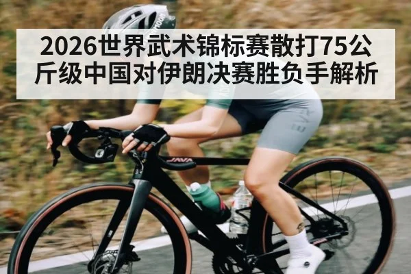 2026世界武术锦标赛散打75公斤级中国对伊朗决赛胜负手解析（kaiyun）