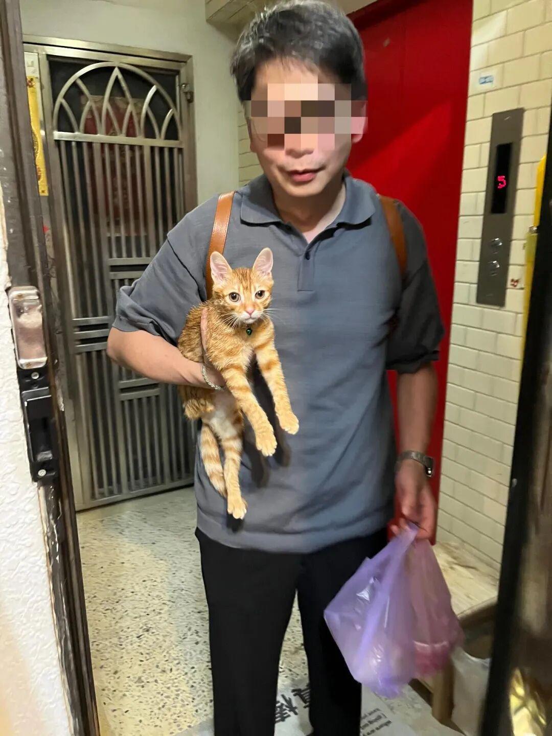 开云体育APP-博主发现猫逃家立刻去追，抓到猫后才发现自己没穿裤子…咪：这不是变态吗